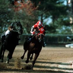 Pur Sang, la légende de Seabiscuit