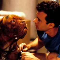 Turner & Hooch