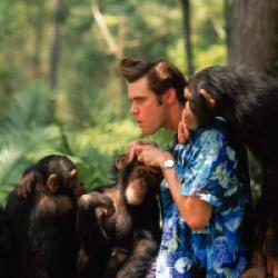 Ace Ventura en Afrique
