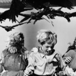 Les Oiseaux