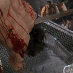 Predator 2