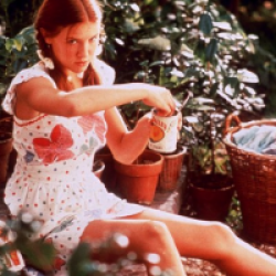 Lolita