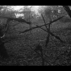 Le Projet Blair Witch