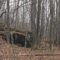 Le Projet Blair Witch