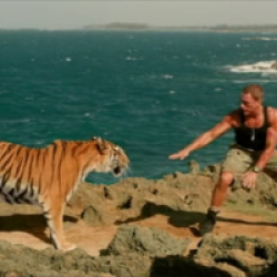 Welcome to the Jungle