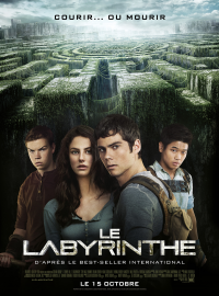 Jaquette du film Le Labyrinthe