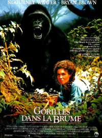 Jaquette du film Gorilles dans la brume