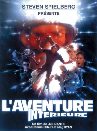 Jaquette du film L'Aventure intérieure