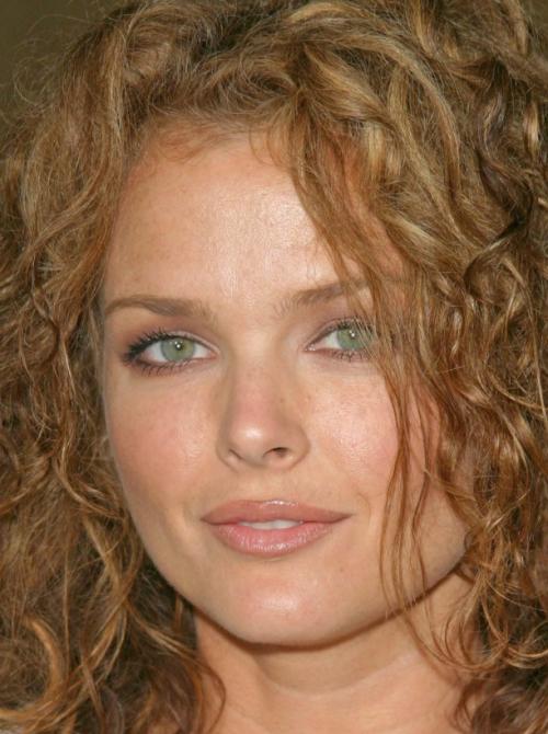 Dina Meyer