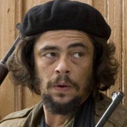 Benicio Del Toro