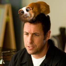 Adam Sandler