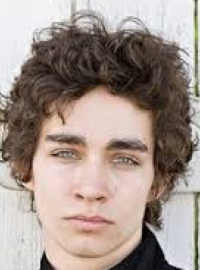 Robert Michael Sheehan